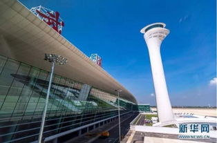 武漢，網紅城市的魅力正在綻放